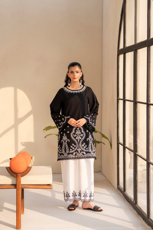 2 PIECE EMBROIDERED SUIT | ZM-11