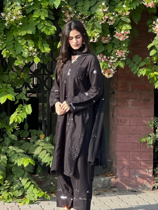 Onyx Black Luxury Raw Silk Embroidered 3-Piece Suit | ZM-102